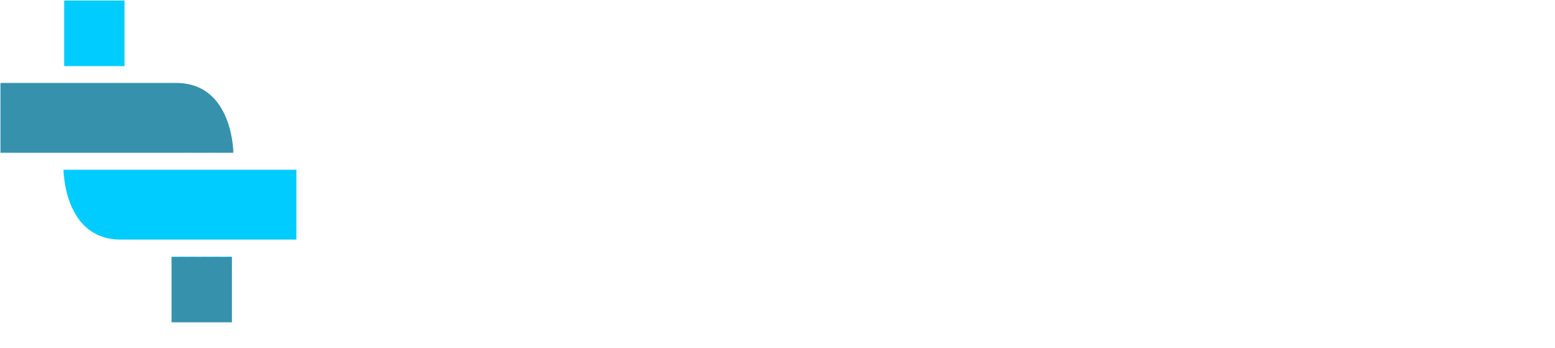 Footer Logo